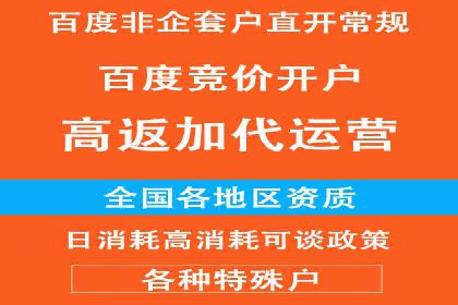 SEM推广策略：成功案例解析与效果评估